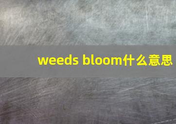 weeds bloom什么意思